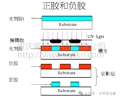 九游会J9·平台